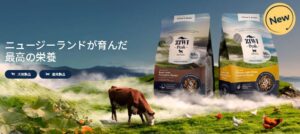 ジウィピーク