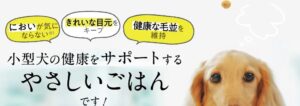 このこのごはん