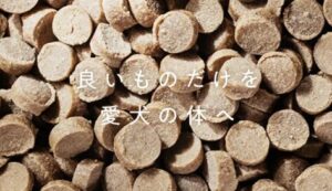OBREMO（オブレモ）