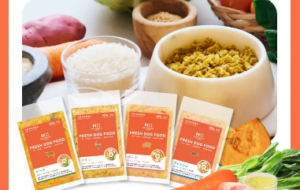 PETOKOTO FOODS