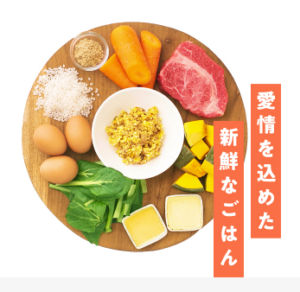 PETOKOTO FOODS