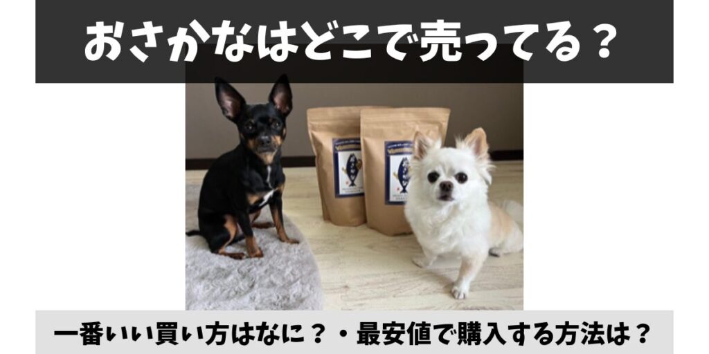 おさかな
