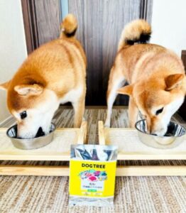 ドッグツリー