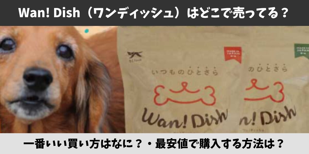 Wan! Dish（ワンディッシュ）