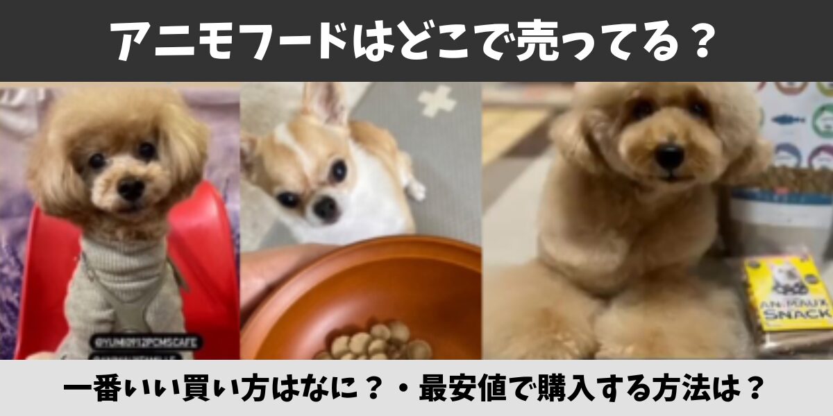 アニモフード