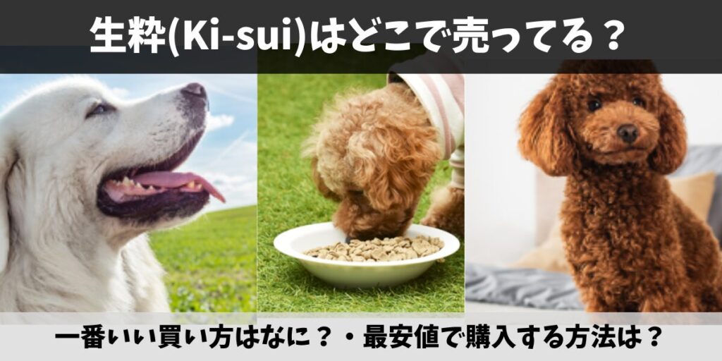 生粋(Ki-sui)