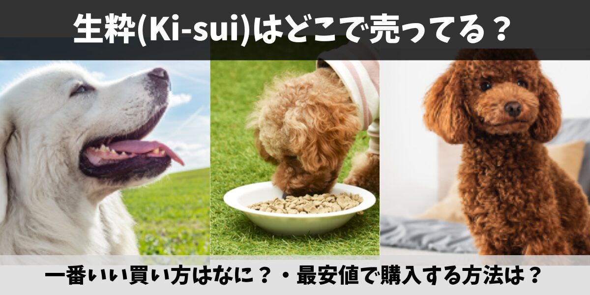 生粋(Ki-sui)
