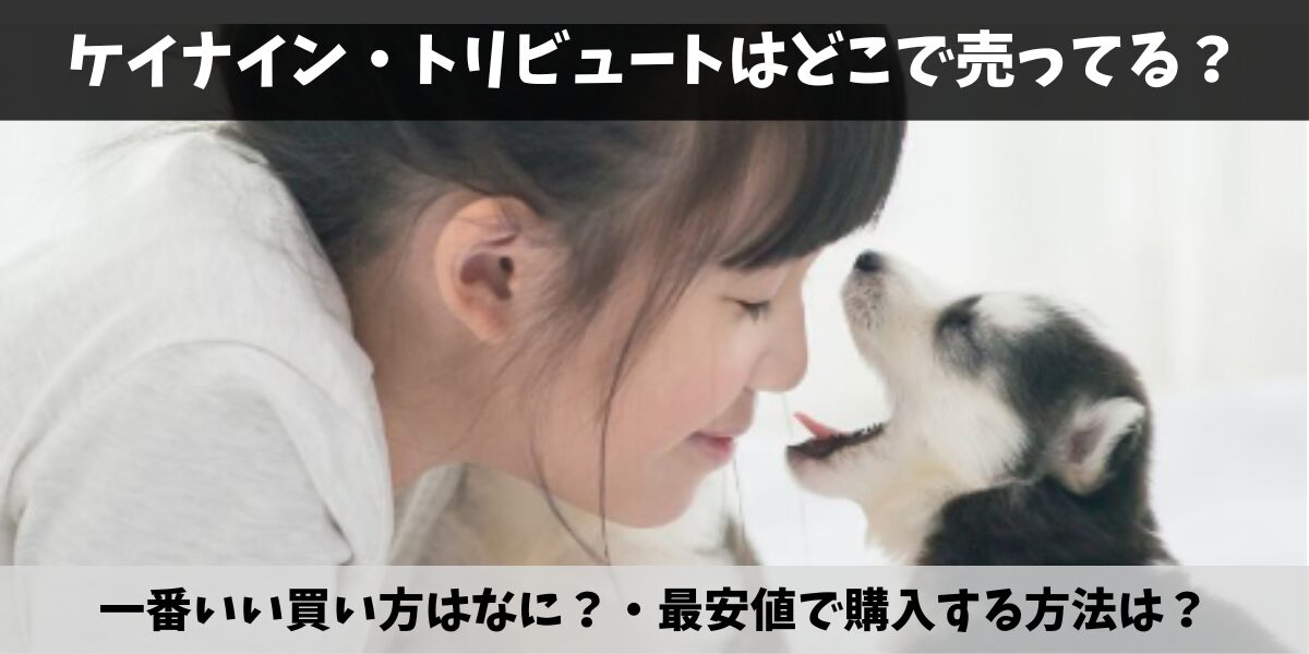 ケイナイン・トリビュート