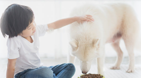 フローラケア DOG