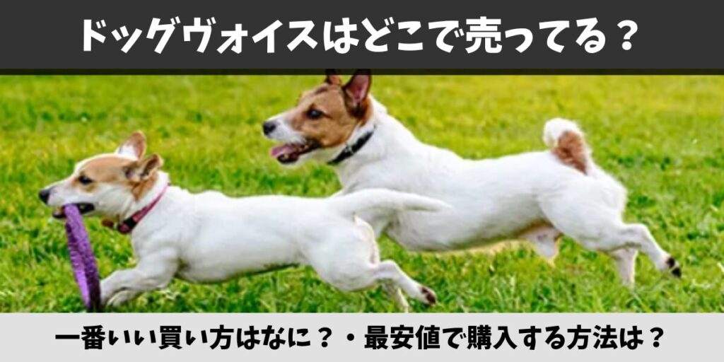 ドッグヴォイス