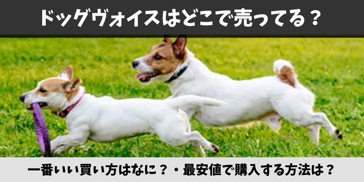 ドッグヴォイス