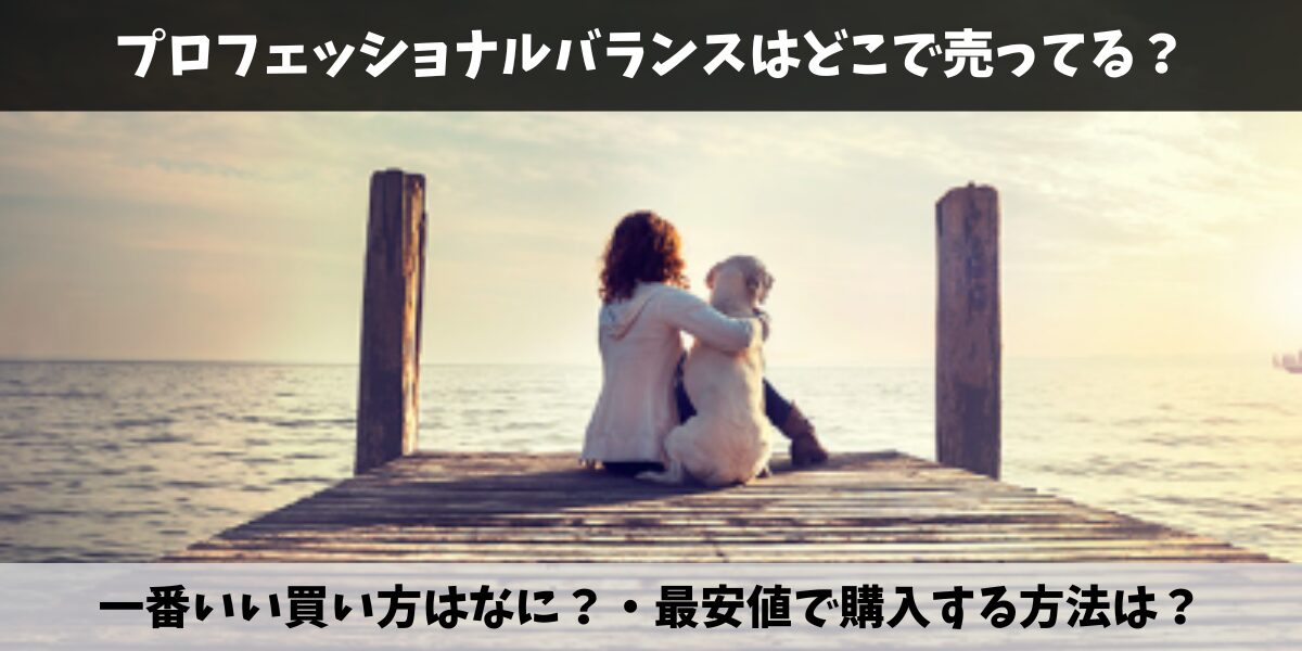 プロフェッショナルバランス