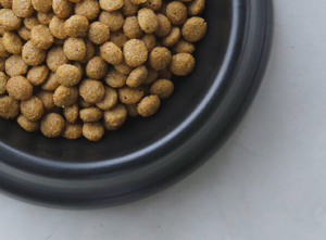 プロフェッショナルバランス