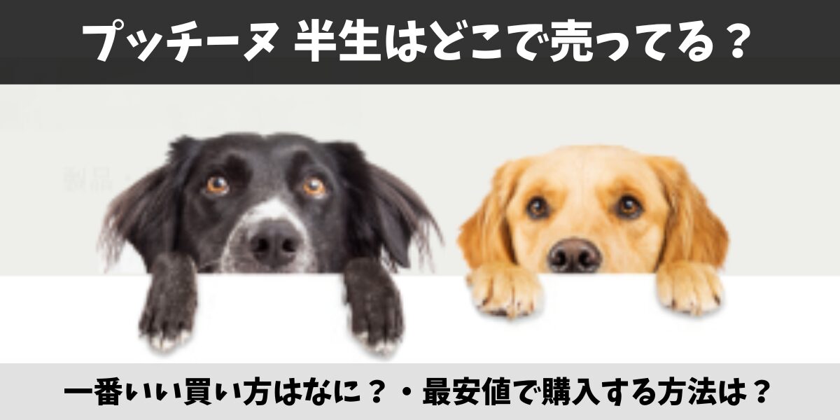 プッチーヌ 半生