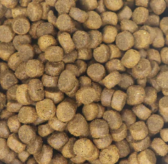 ティンバーウルフ