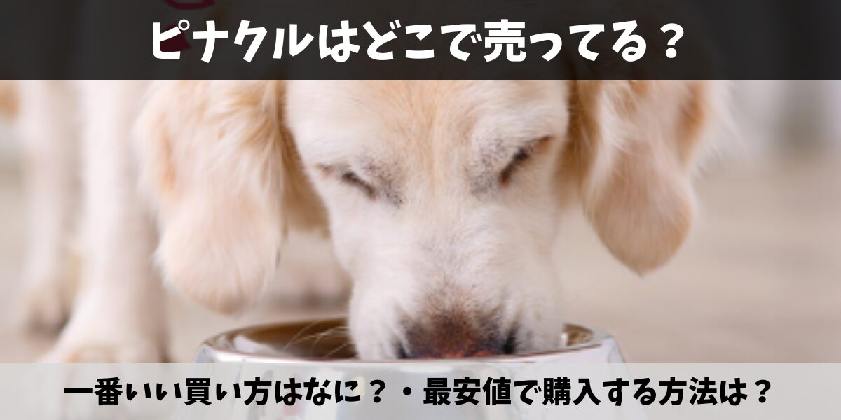 ピナクル