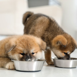 ピナクル