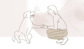 メディコート アレルゲンカット