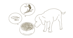 メディコート アレルゲンカット