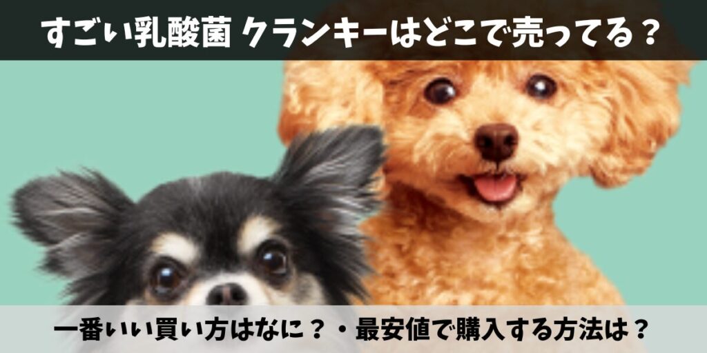 すごい乳酸菌 クランキー