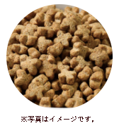 インナービューティーケア