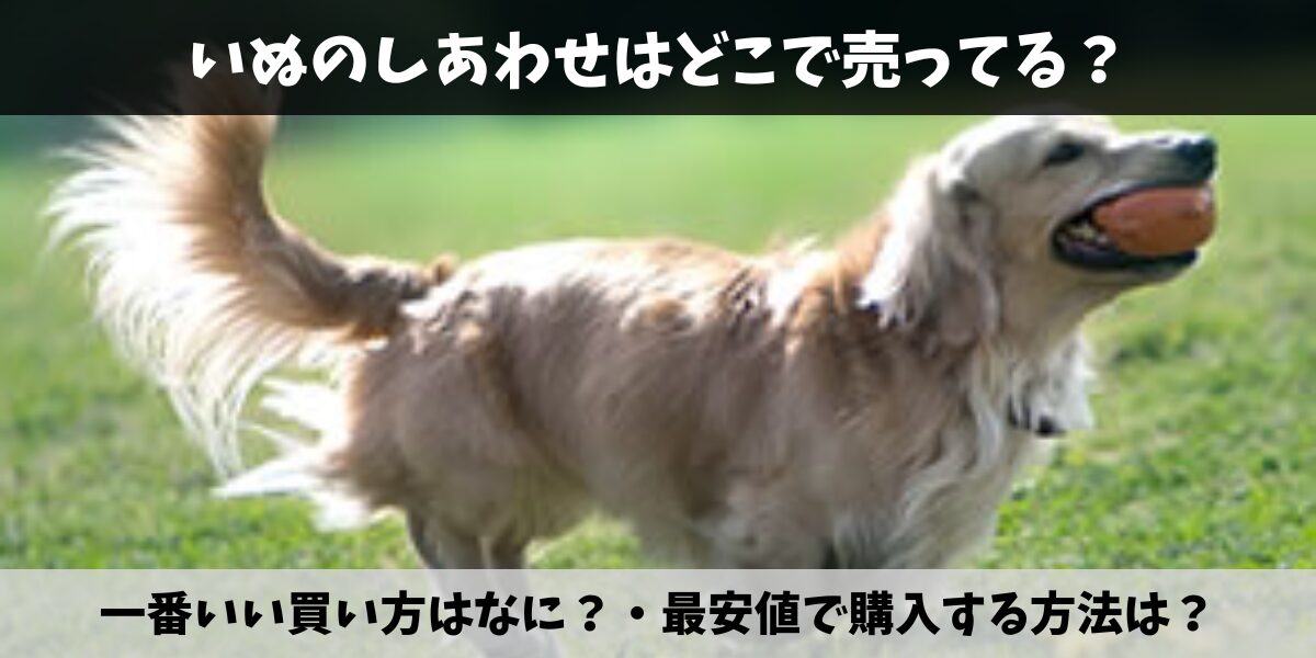 いぬのしあわせ