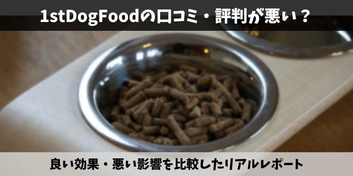 1stDogFood