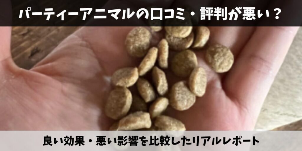 パーティーアニマル