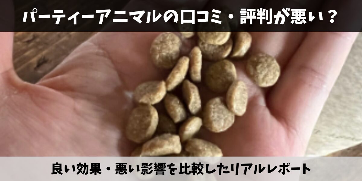 パーティーアニマル